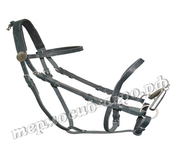 Индивидуальный пошив шорных изделий